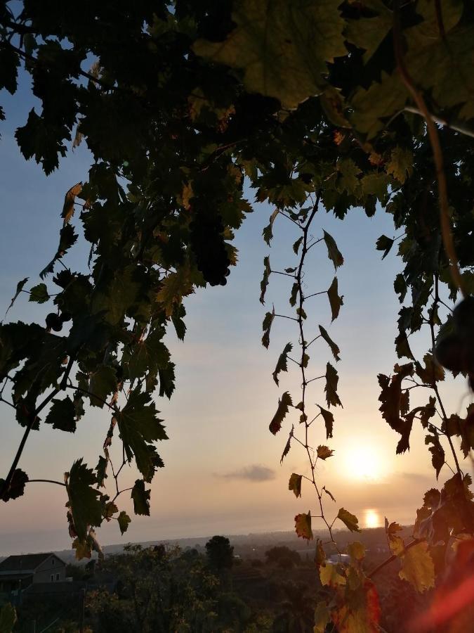 Agriturismo Baglio Calanchi 莫迪卡 外观 照片