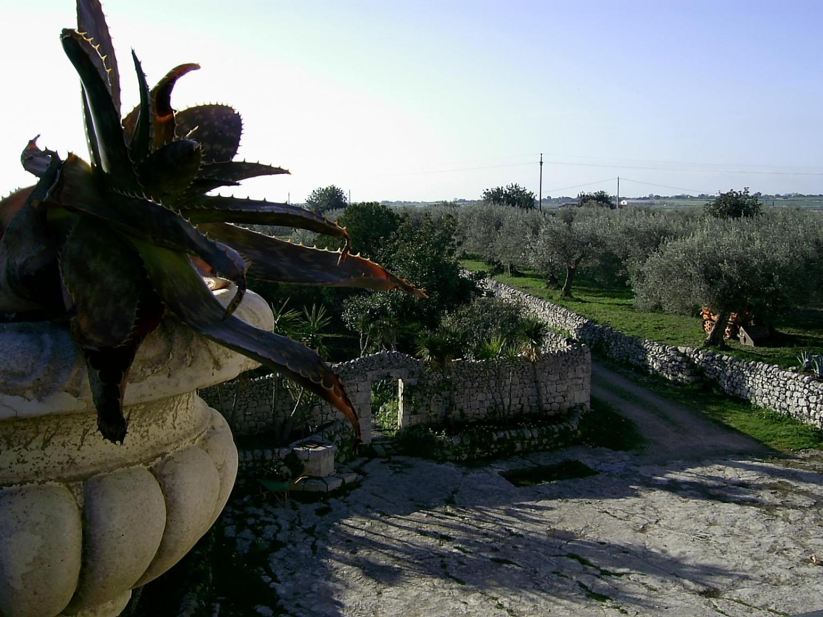 Agriturismo Baglio Calanchi 莫迪卡 外观 照片